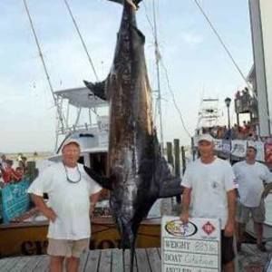 Meet your Posher, Andy